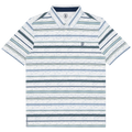 Motion Polo